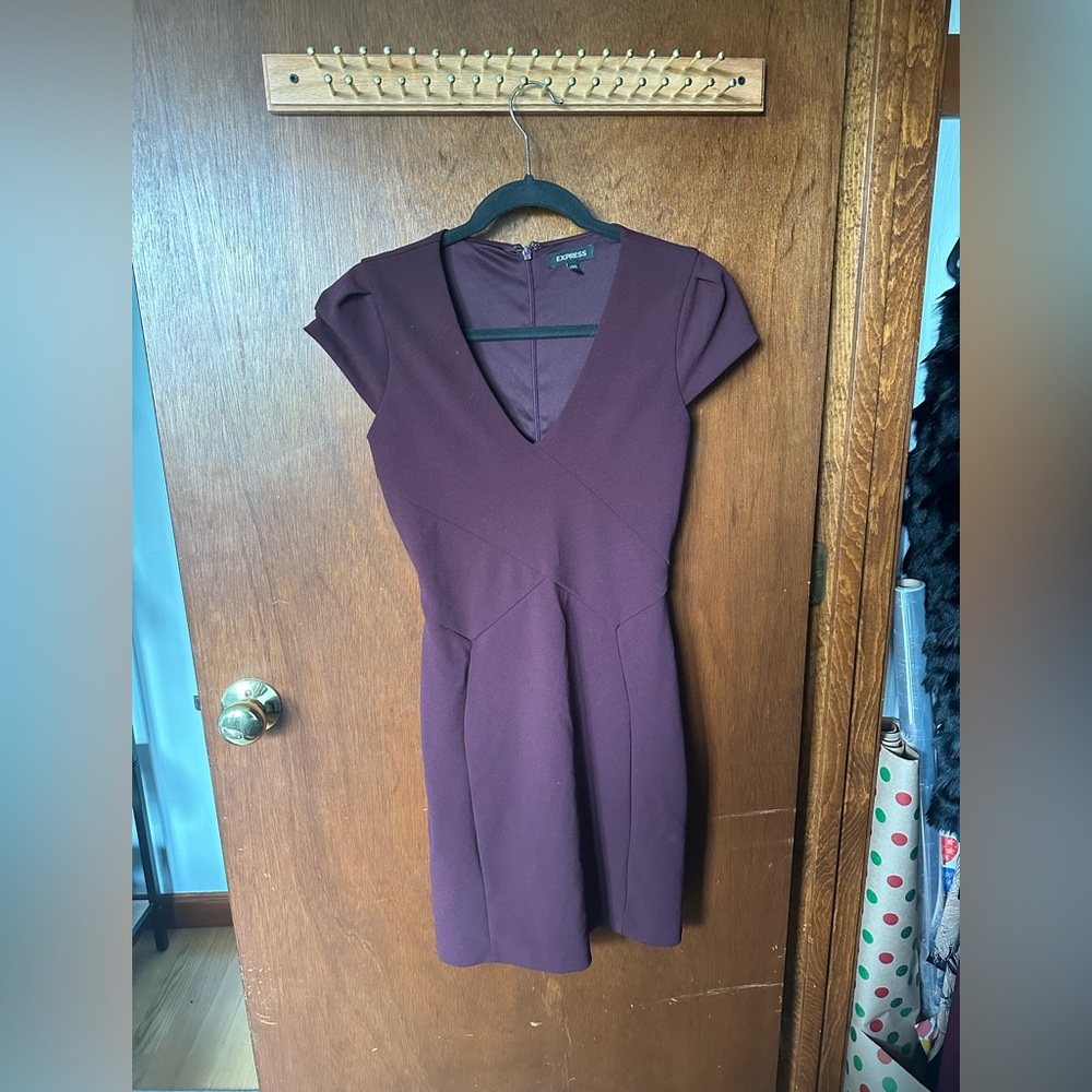 Express bodycon dress